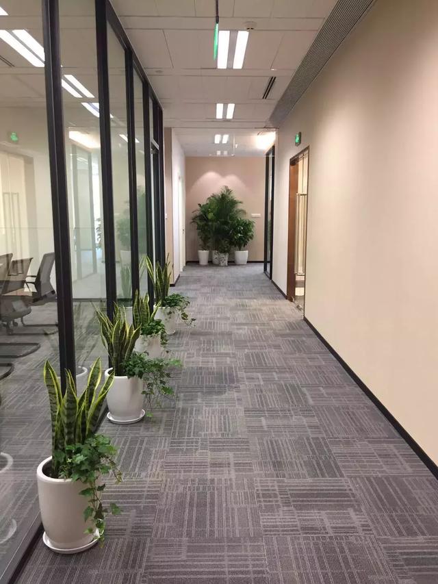 1531206848954d7e701b104