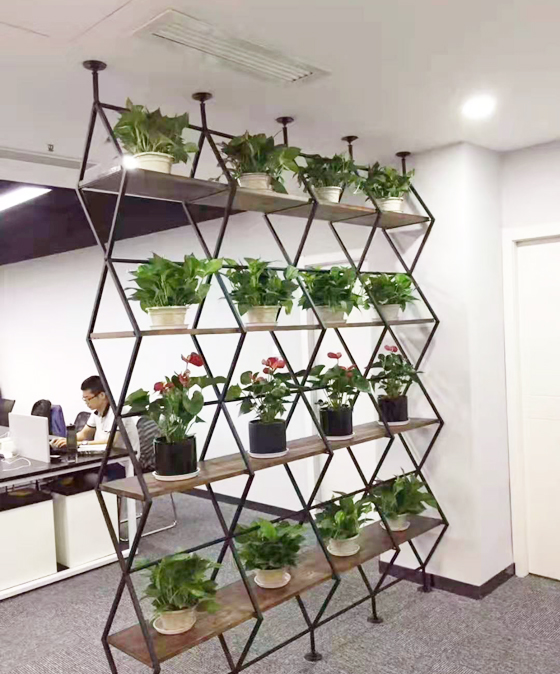 客戶(hù)綠植花架