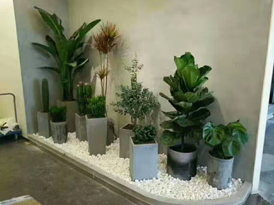 客戶(hù)綠植景觀(guān)擺設(shè)